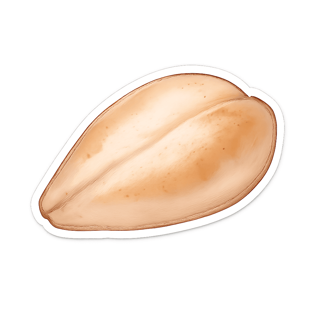Turkey Breast